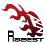 エントリーシート　RAZEST / Razest（株式会社ラゼスト）